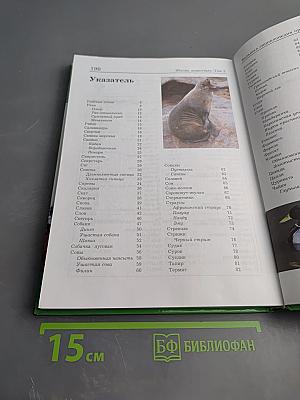 Большая энциклопедия природы. Жизнь животных. Том 3