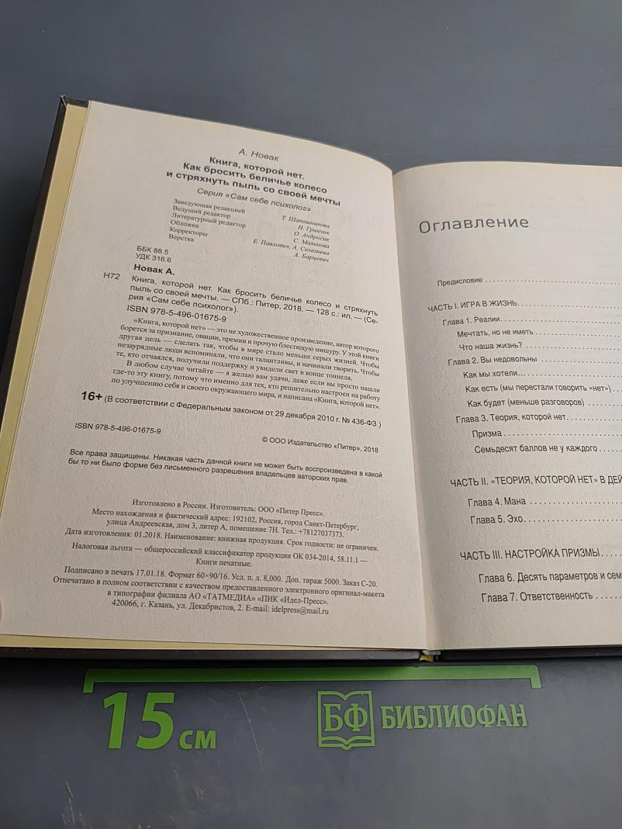 Книга, которой нет. Как бросить беличье колесо и стряхнуть пыль со своей мечты