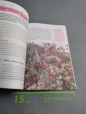 Справочник Целебника. Целебная еда от А до Я. 50 диет от 30 болезней