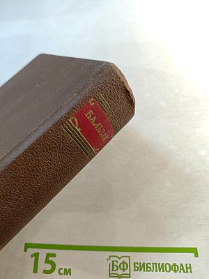 Очерки. Литературно-критические статьи. Избранные письма. Том 15