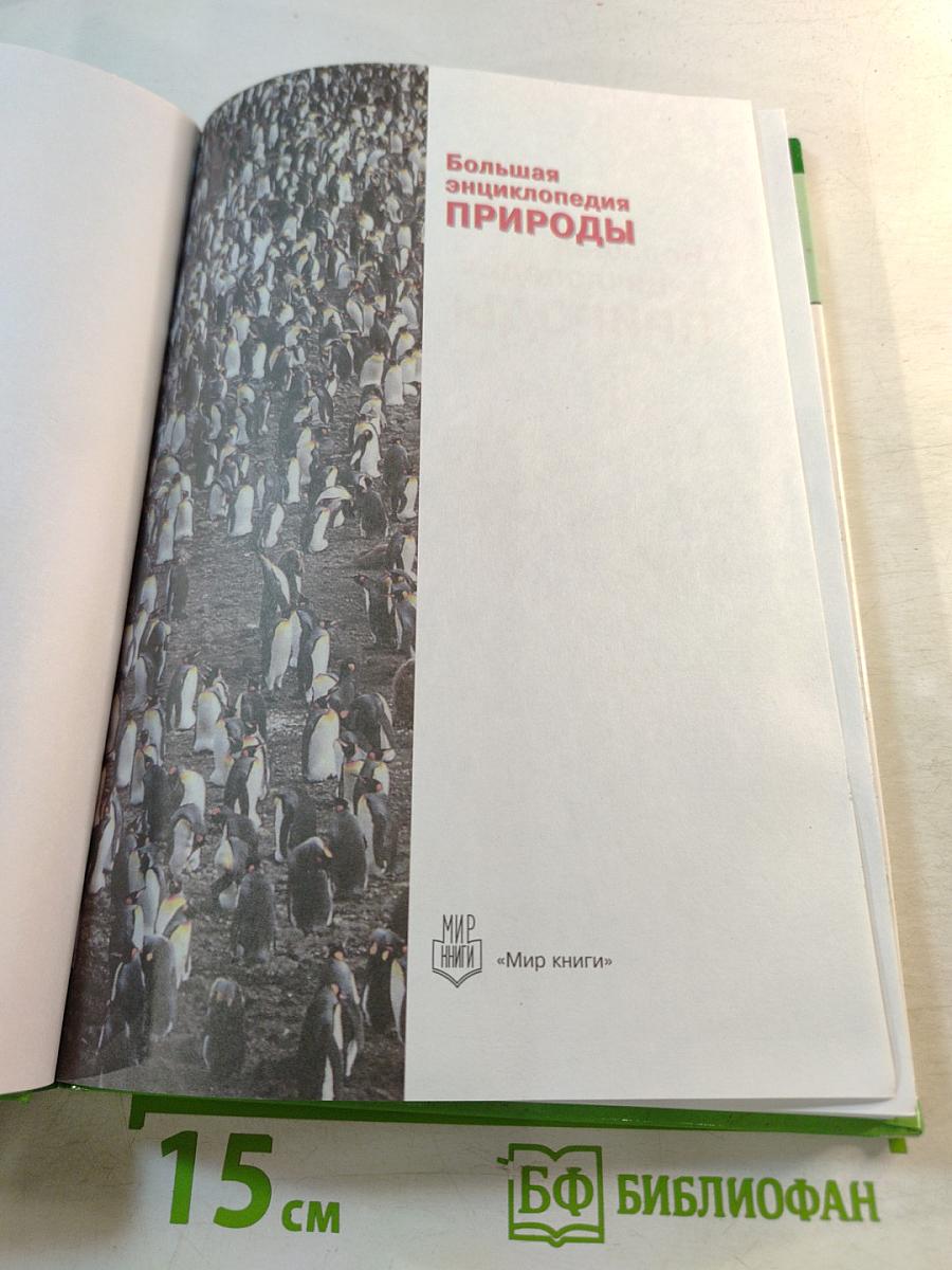 Большая энциклопедия Природы: Жизнь животных. Том 2