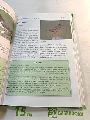 Большая энциклопедия Природы: Жизнь животных. Том 2