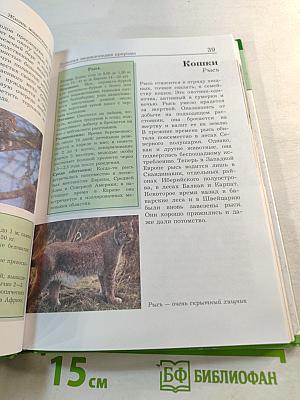 Большая энциклопедия Природы: Жизнь животных. Том 2