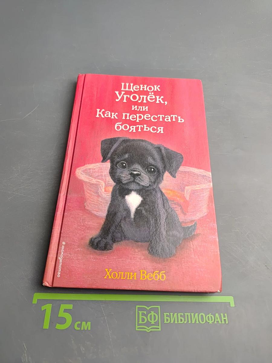 Щенок Уголёк, или Как перестать бояться