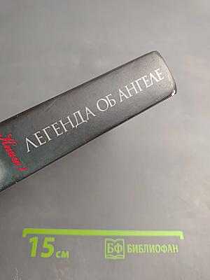 Легенда об Ангеле. Книга 1. Пробуждение