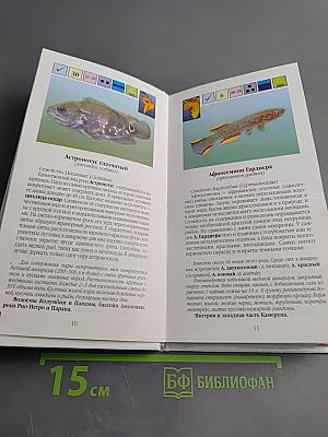 Аквариумные рыбки