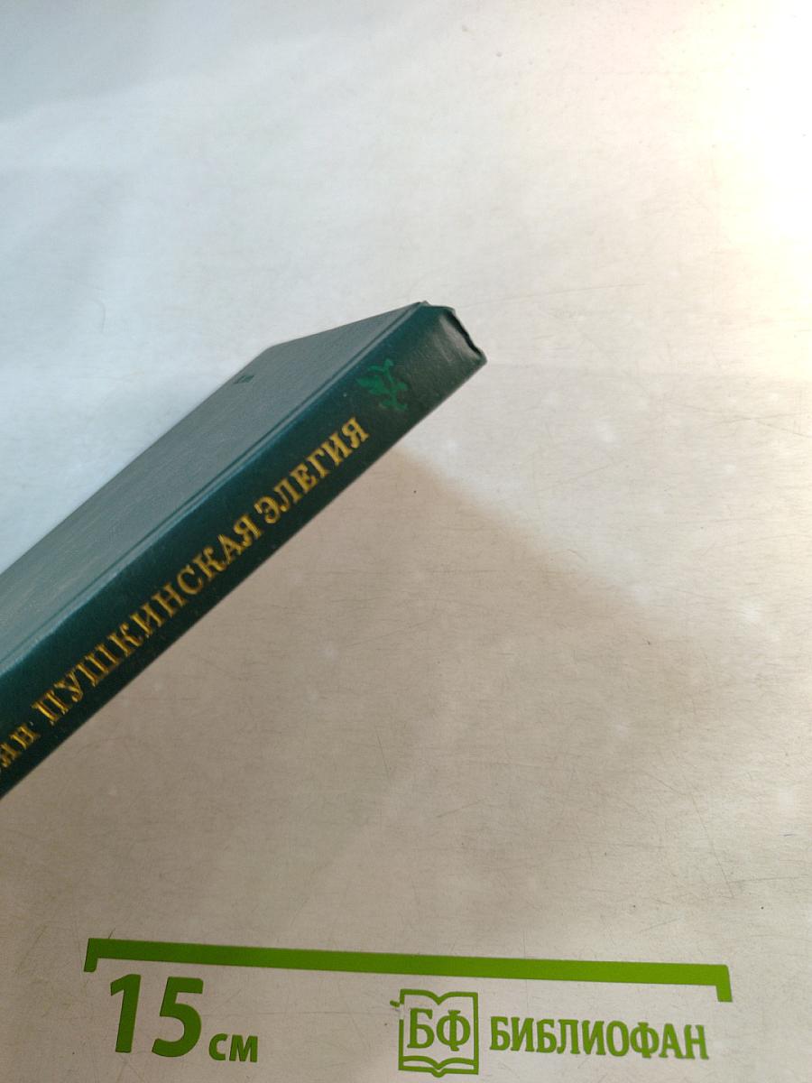 Пушкинская элегия