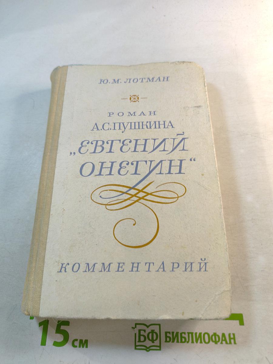 Роман А. С. Пушкина «Евгений Онегин» Комментарий