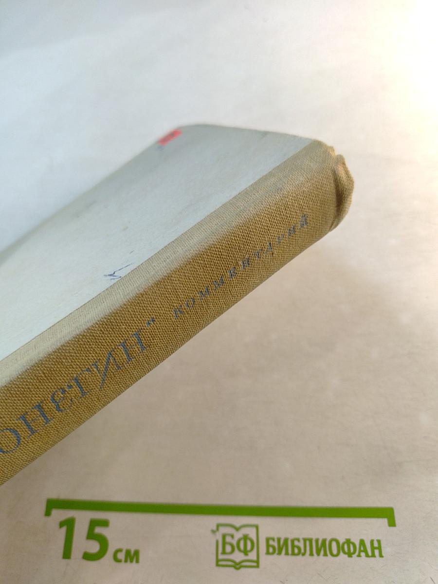 Роман А. С. Пушкина «Евгений Онегин» Комментарий