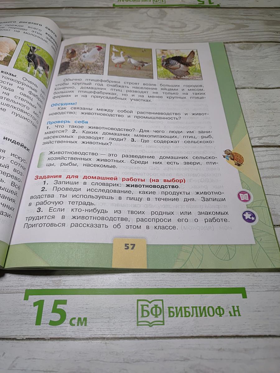Окружающий мир. 3 класс. Часть 2
