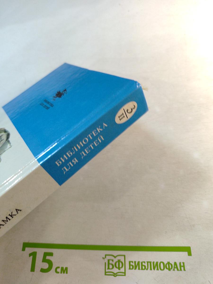 Тайна заброшенного замка