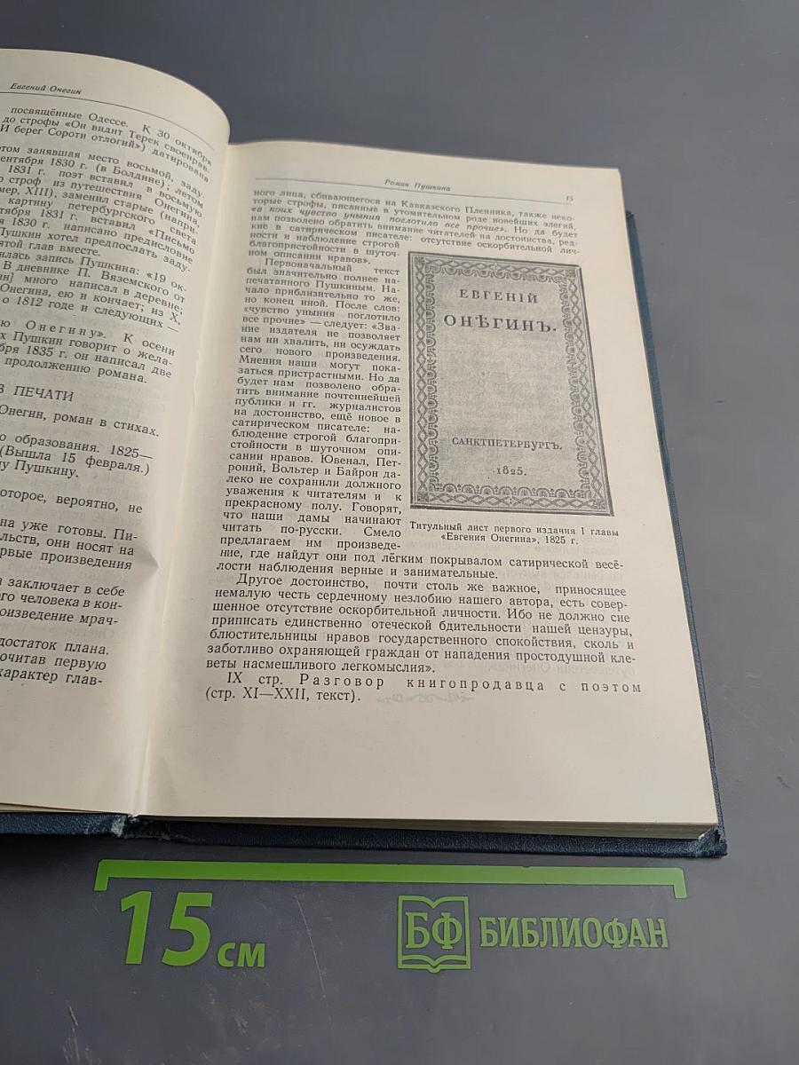 Евгений Онегин. Роман А.С. Пушкина. Пособие для учителей средней школы