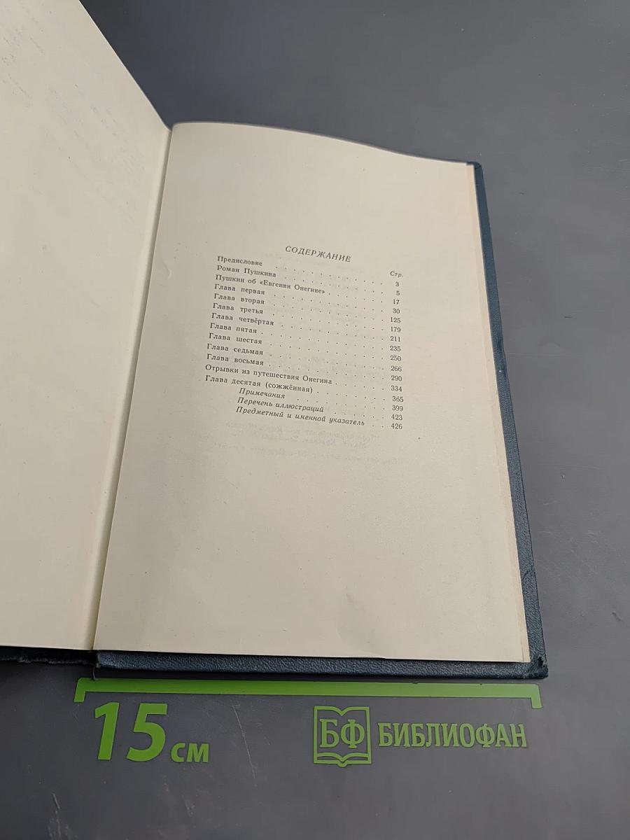Евгений Онегин. Роман А.С. Пушкина. Пособие для учителей средней школы