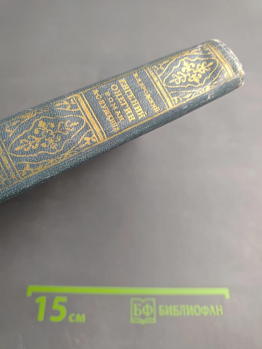 Евгений Онегин. Роман А.С. Пушкина. Пособие для учителей средней школы