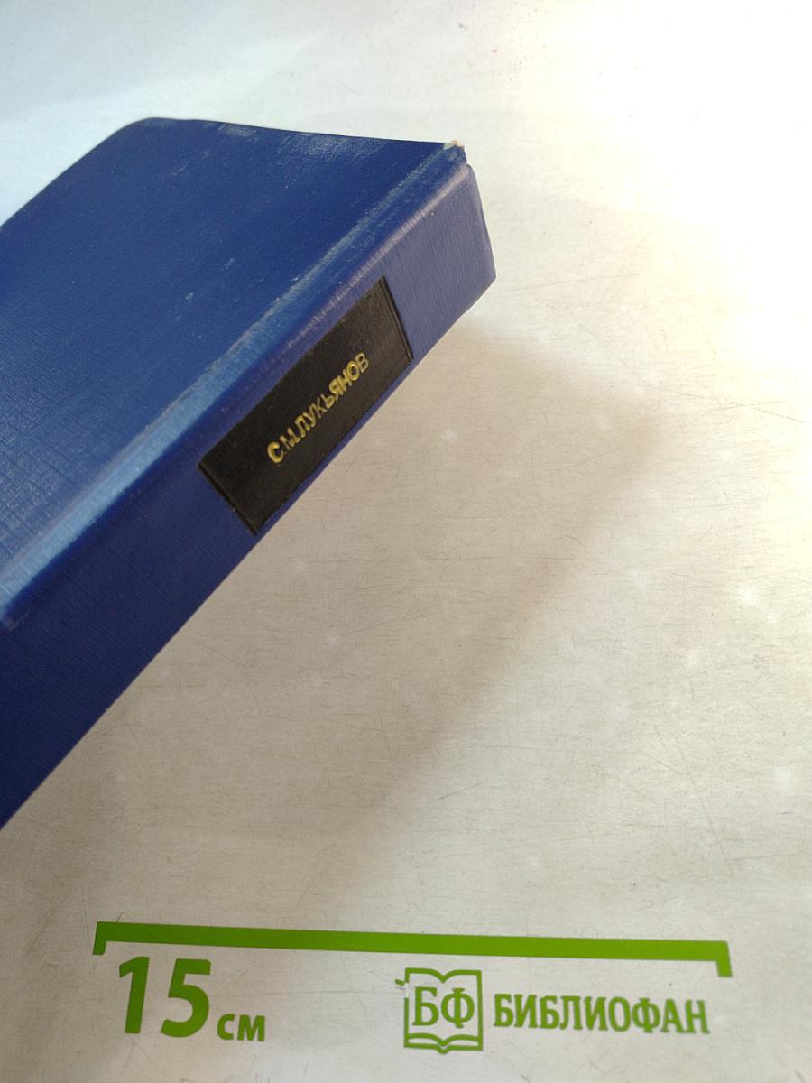 О Вл. С. Соловьеве в его молодые годы. Материалы к биографии. Книга первая