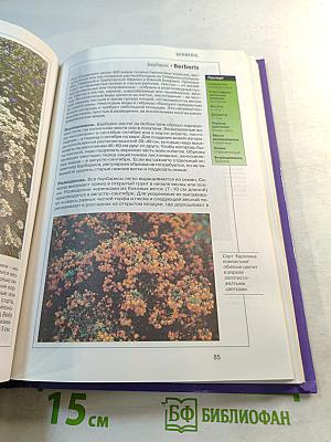 Цветы. Справочник