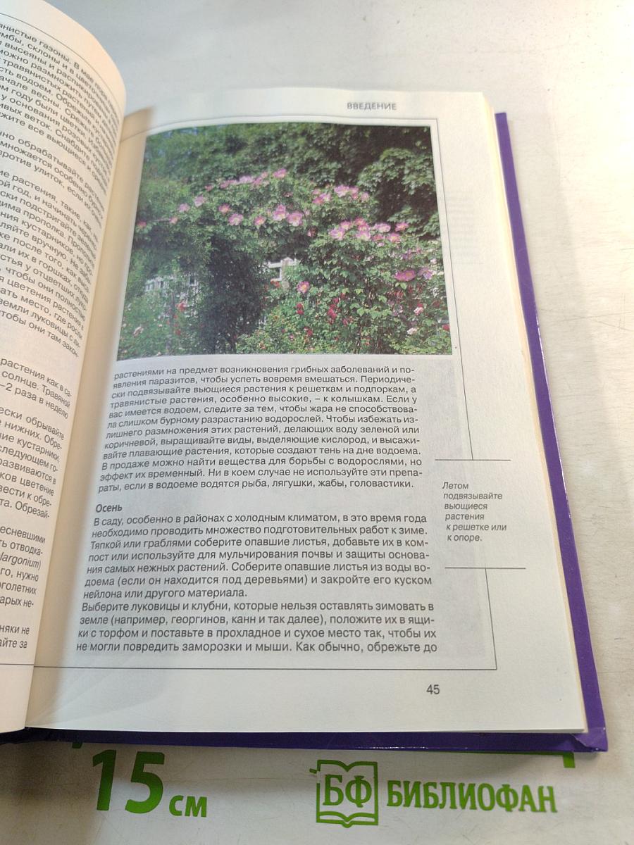 Цветы. Справочник