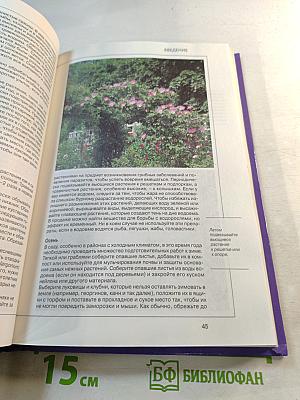 Цветы. Справочник