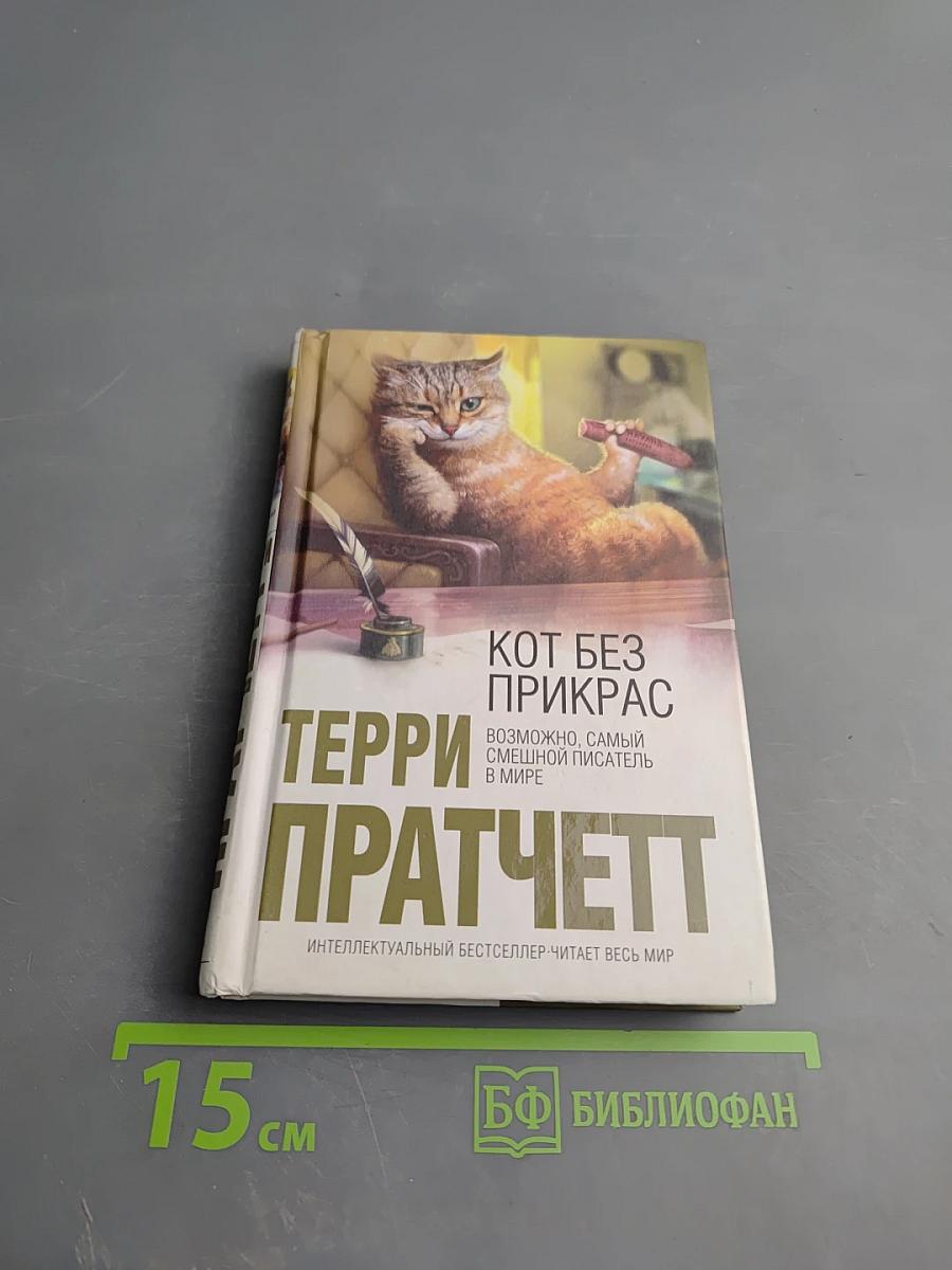 Кот без прикрас