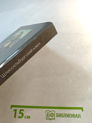 Шлиссельбургский ключ. Книга первая