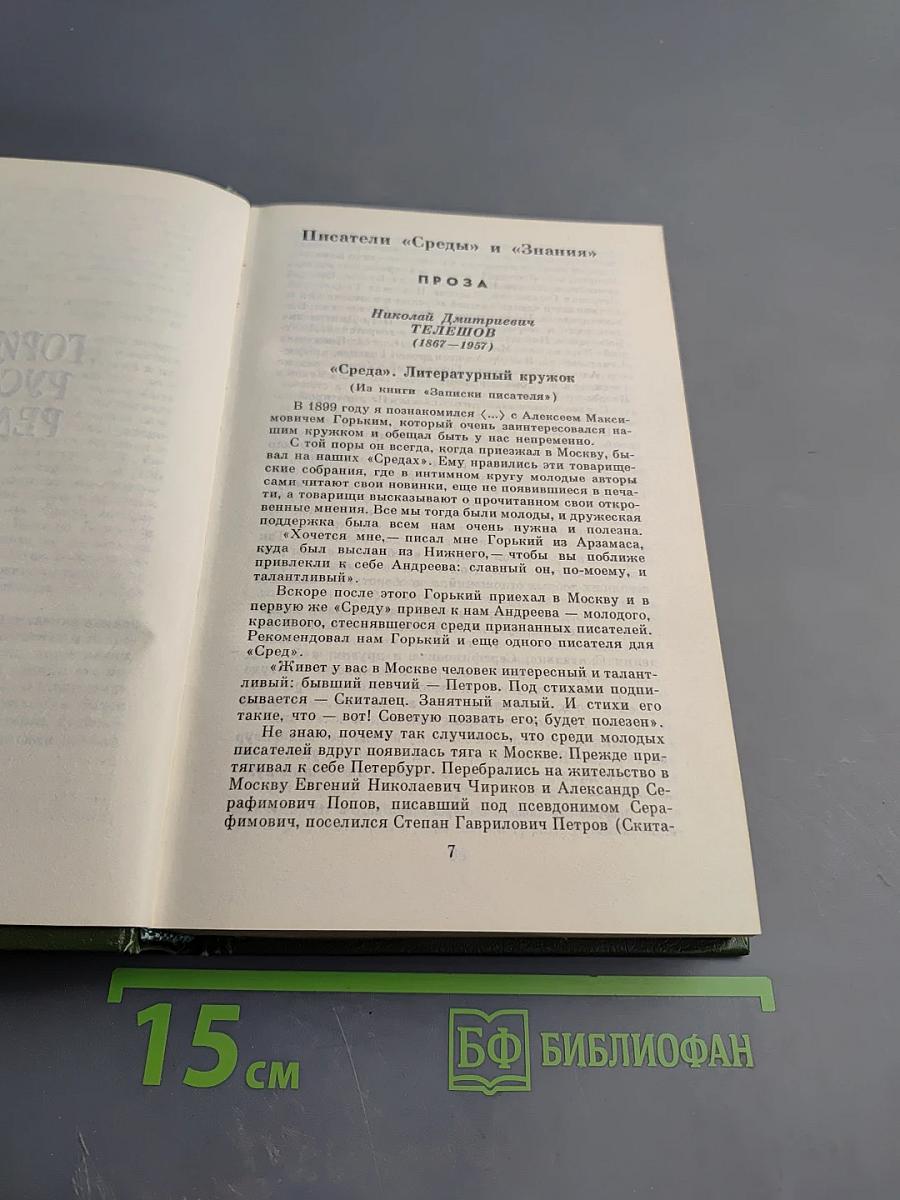 Русская литература XX века. Дооктябрьский период. Хрестоматия