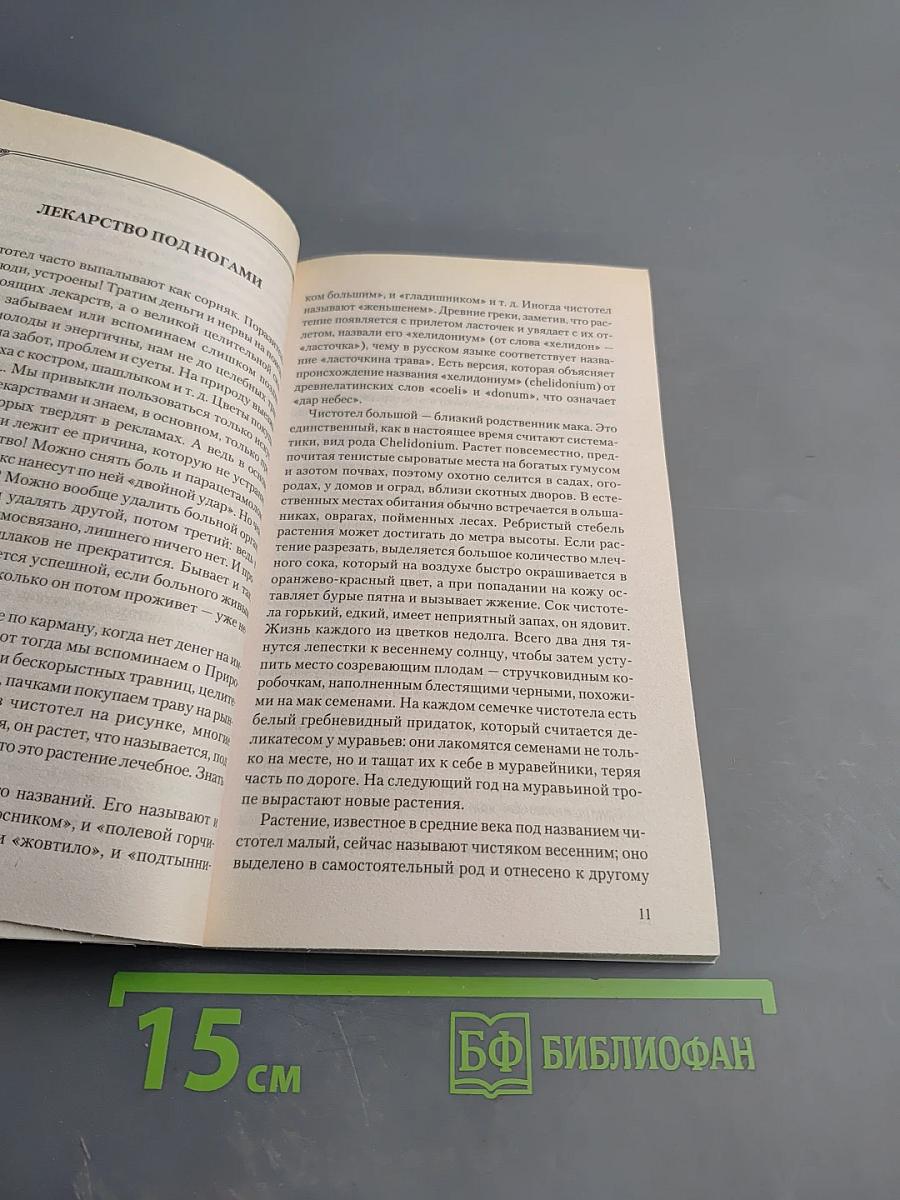 Чистотел. Мифы и реальность