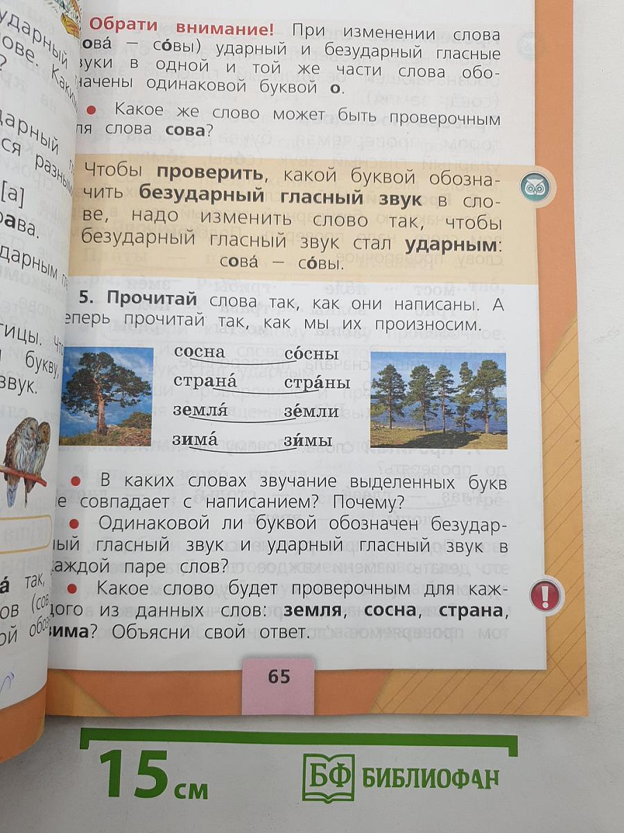 Русский язык
