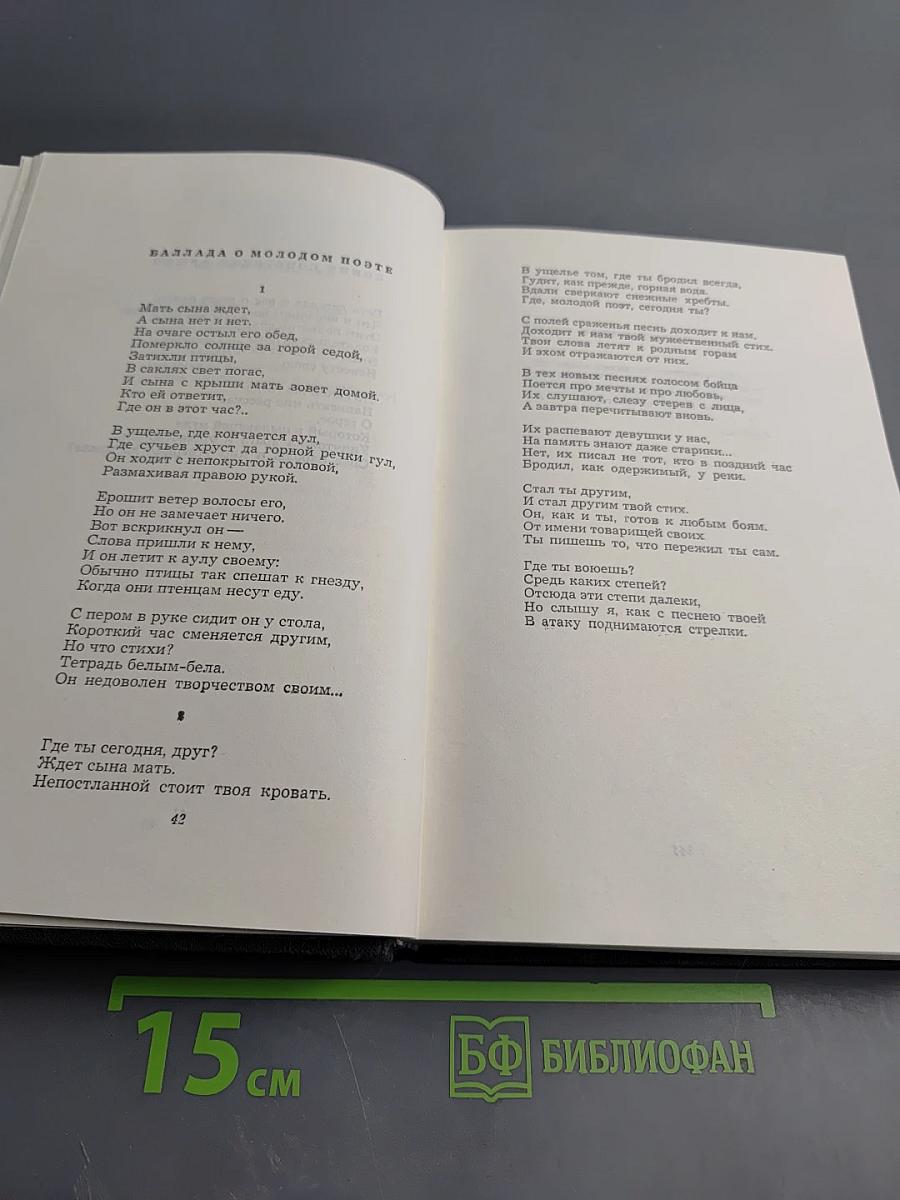 Собрание сочинений. Том первый. Стихотворения