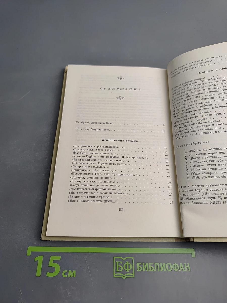 Избранное. Стихотворения и поэмы (для средней школы)