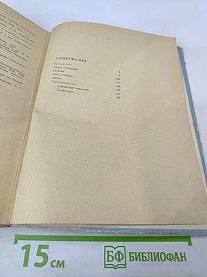 Почему так названы?