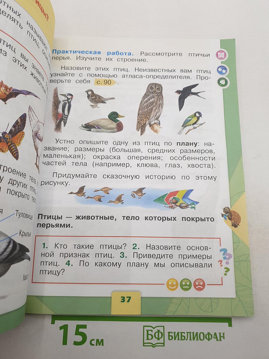 Окружающий мир