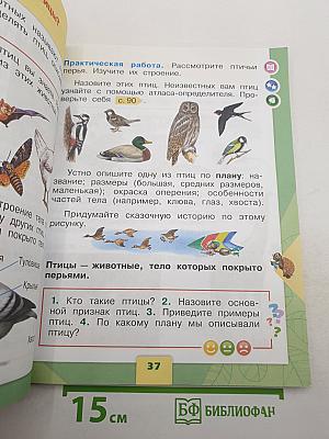 Окружающий мир