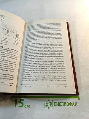 Гормоны правят миром. Популярная эндокринология