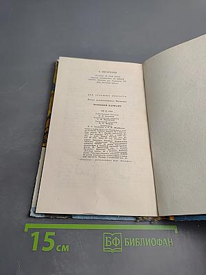 Черновой вариант