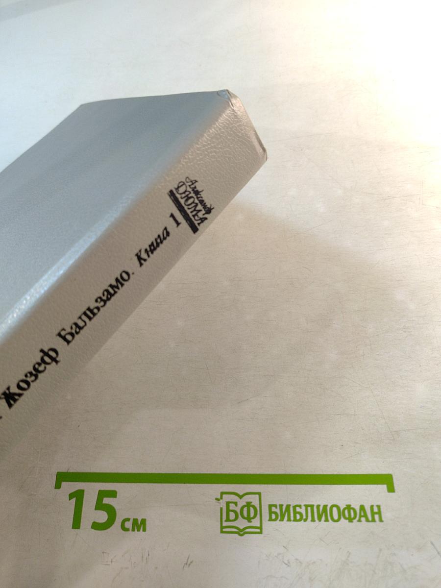 Записки врача Жозеф Бальзамо. Книга 1