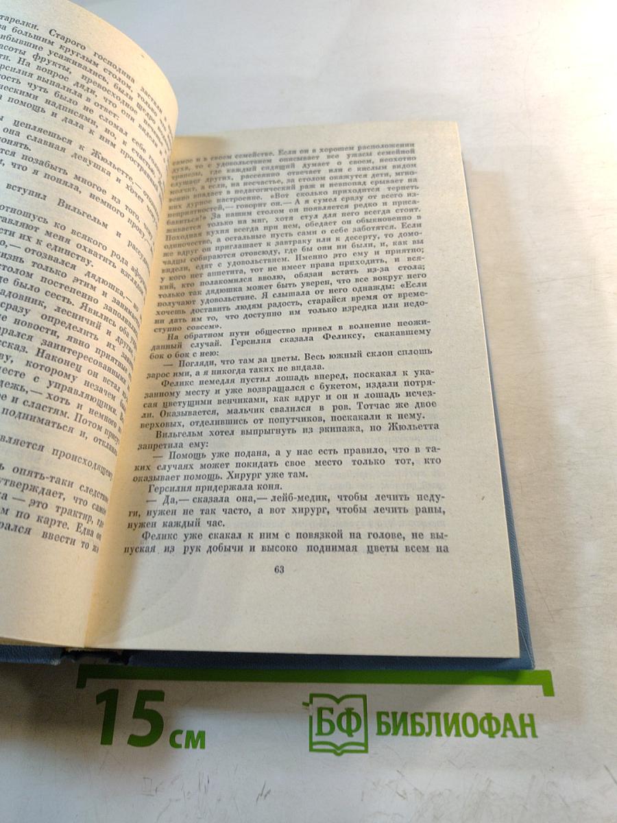 Годы странствий Вильгельма Мейстера, или Отрекающиеся. Собрание сочинений. Том восьмой