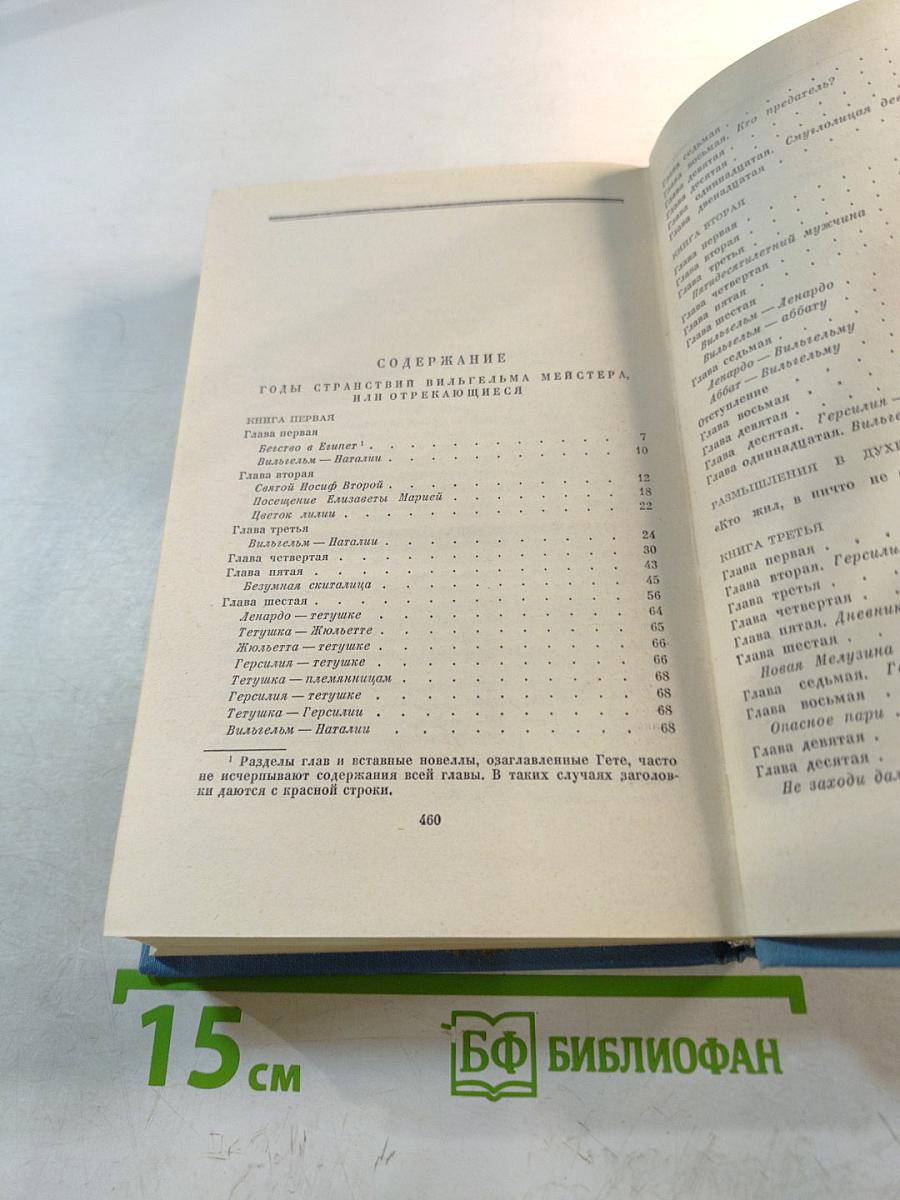 Годы странствий Вильгельма Мейстера, или Отрекающиеся. Собрание сочинений. Том восьмой