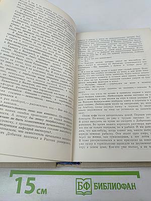 Я спешу за счастьем