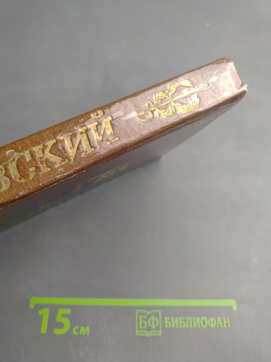 В. Ф. Раевский. Материалы о жизни и революционной деятельности. Том I. Документы о революционной деятельности и судебном процессе