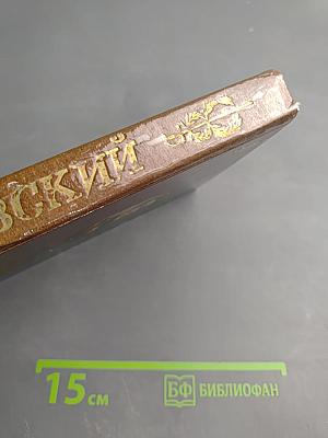 В. Ф. Раевский. Материалы о жизни и революционной деятельности. Том I. Документы о революционной деятельности и судебном процессе