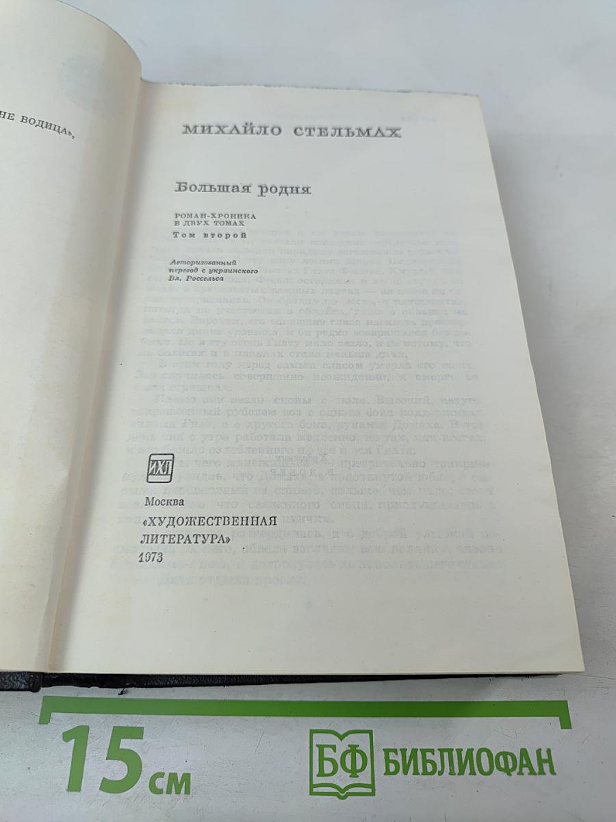 Большая родня. Том второй