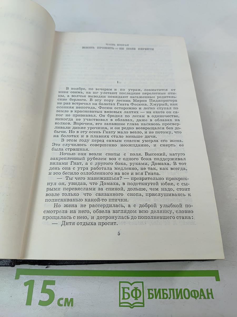 Большая родня. Том второй