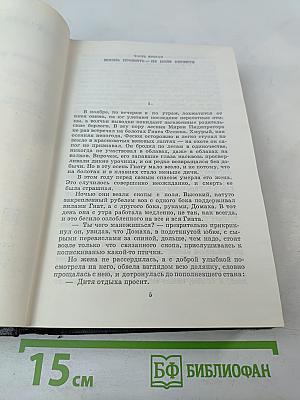 Большая родня. Том второй