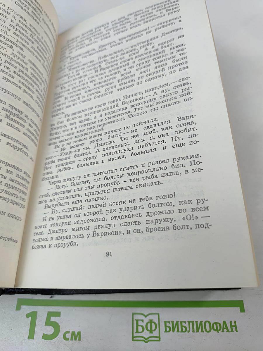 Большая родня. Том второй