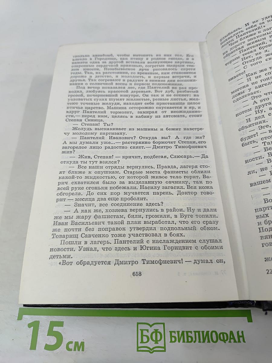 Большая родня. Том второй