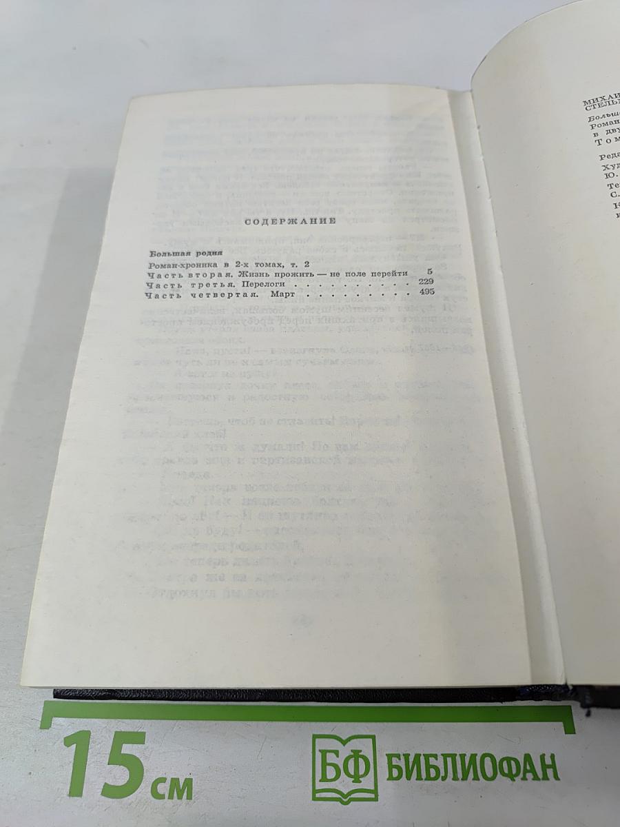 Большая родня. Том второй