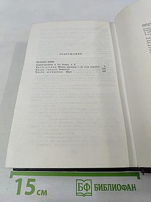 Большая родня. Том второй