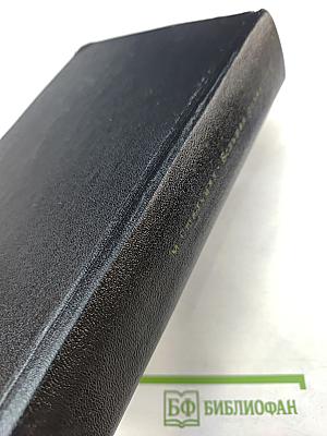 Большая родня. Том второй