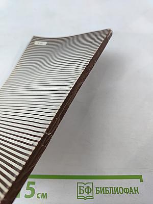 Бехтерев: страницы жизни