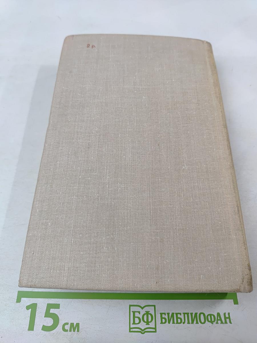 Весенний снег. Вечное дерево